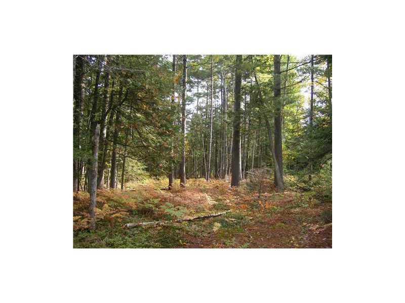 136 Embden Pond Road Anson, ME 04958 - Photo 10 of 19 Land. Nice woodlot with trails.