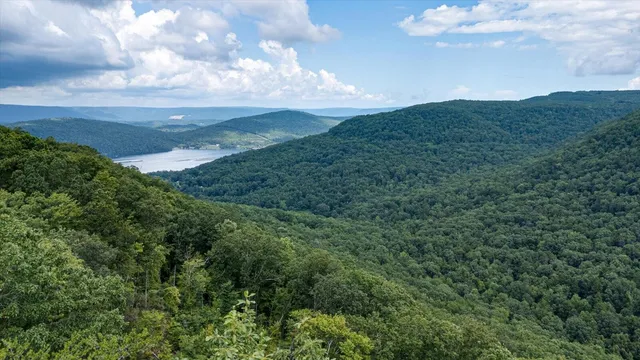 $432,000 | 0 Farm Road, Guild, TN 37340