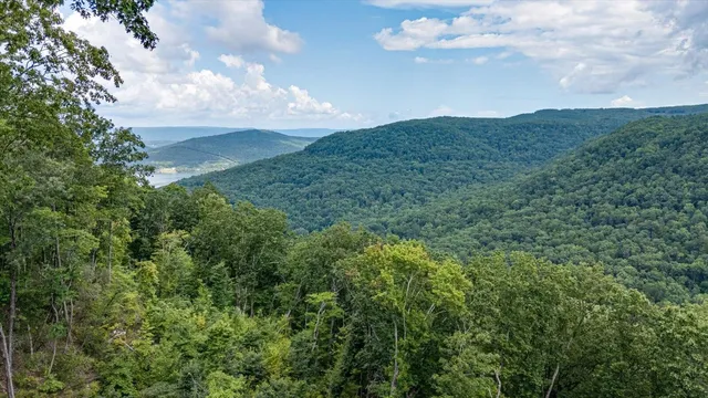 $432,000 | 0 Farm Road, Guild, TN 37340