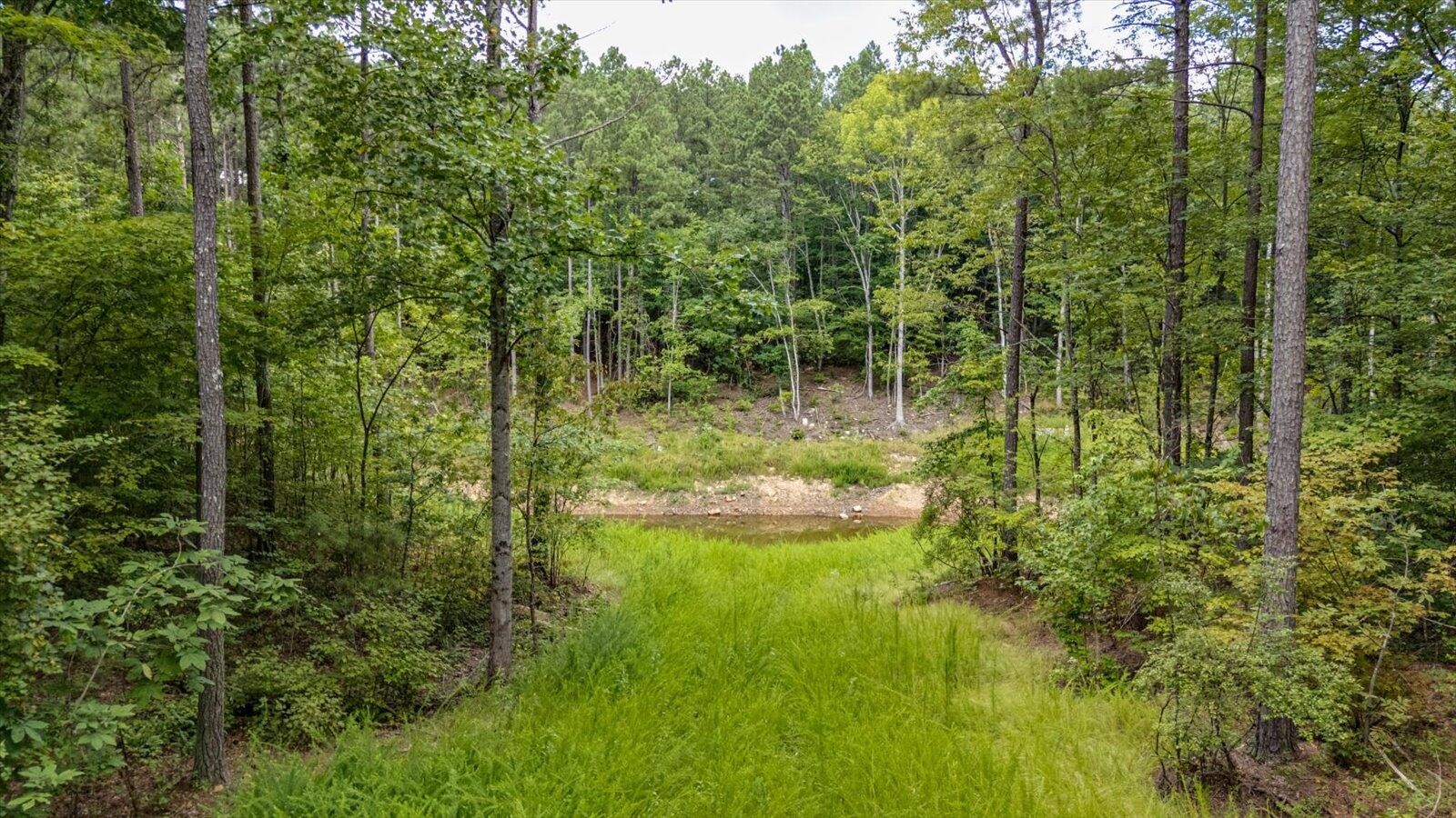 0 Farm Road Guild, TN 37340 - Photo 16 of 34 a view of a garden