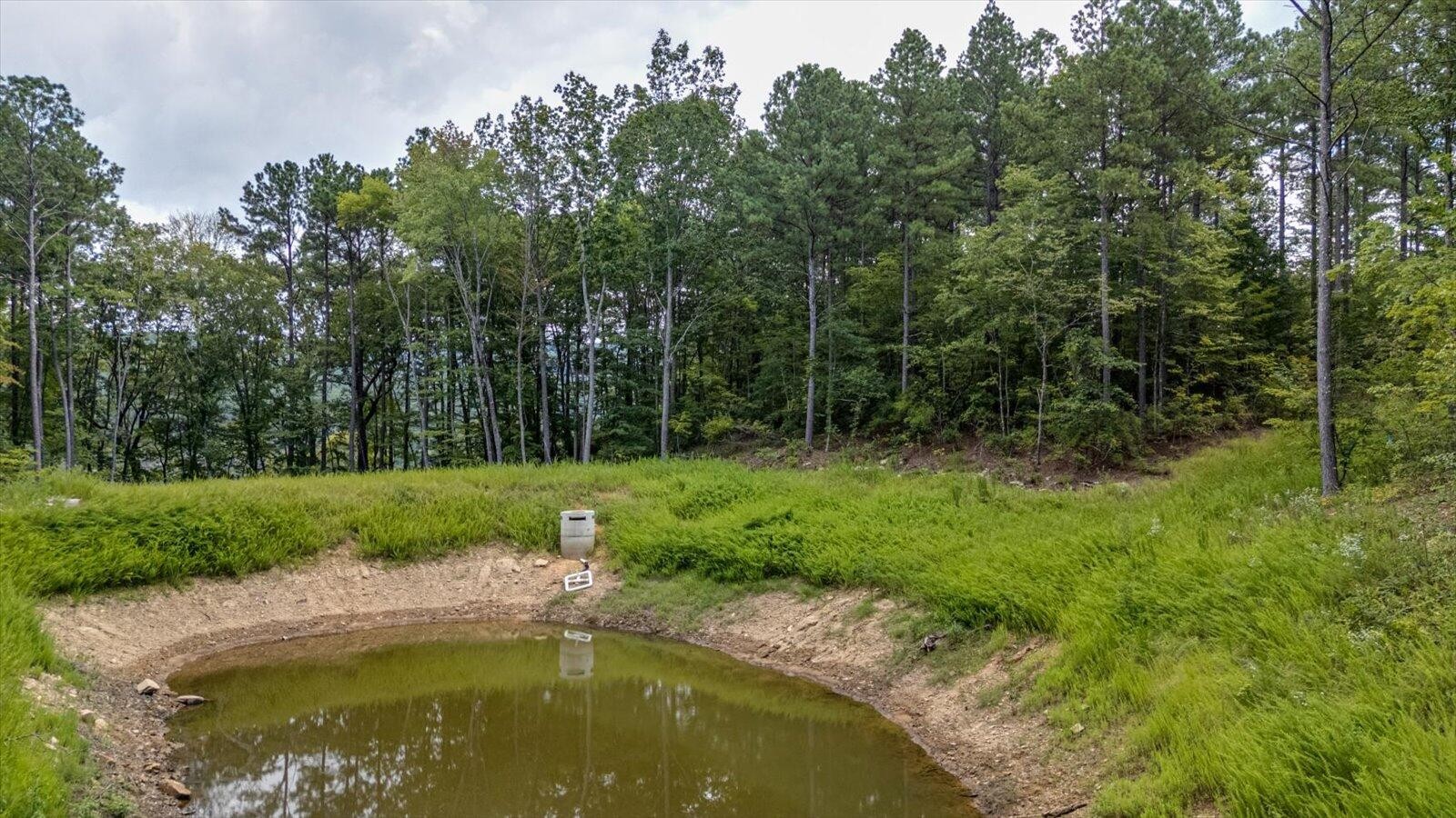 0 Farm Road Guild, TN 37340 - Photo 18 of 34 a swimming pool with trees in the background