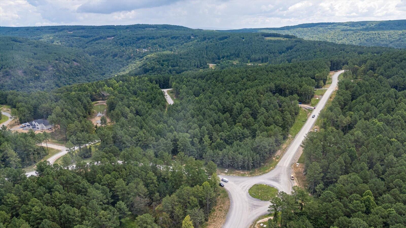 0 Farm Road Guild, TN 37340 - Photo 32 of 34 an aerial view of a house with a yard