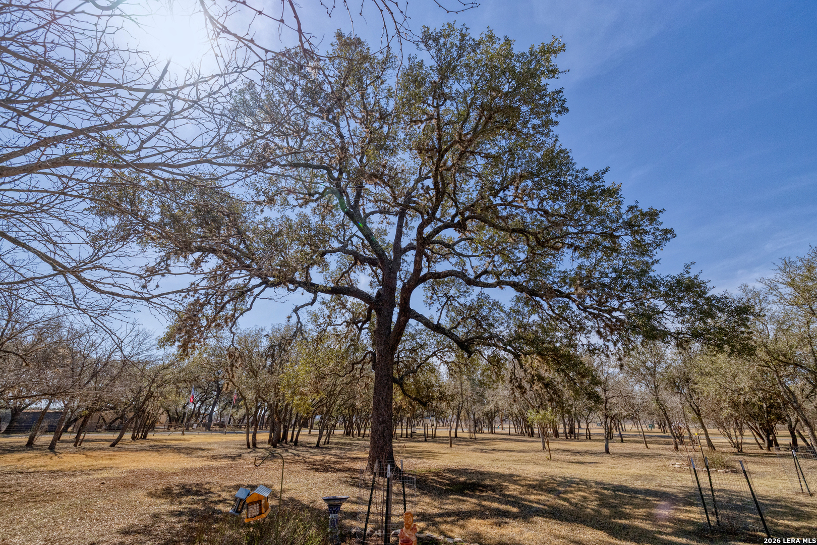 119 Kahn Drive Rio Frio, TX 78879 - Photo 4 of 46