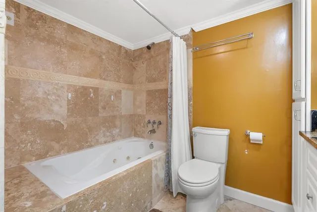 a bathroom with a toilet and a bathtub