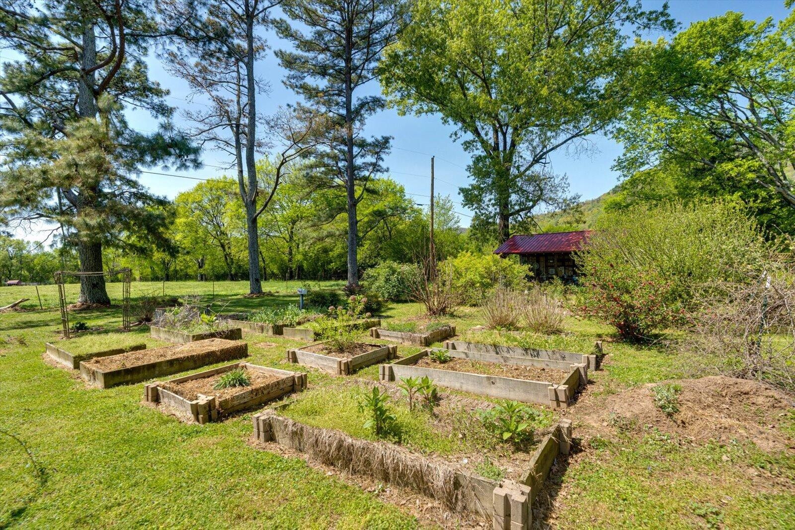 487 Hackworth Road Whitwell, TN 37397 - Photo 42 of 48 a backyard of a house with yard and outdoor seating
