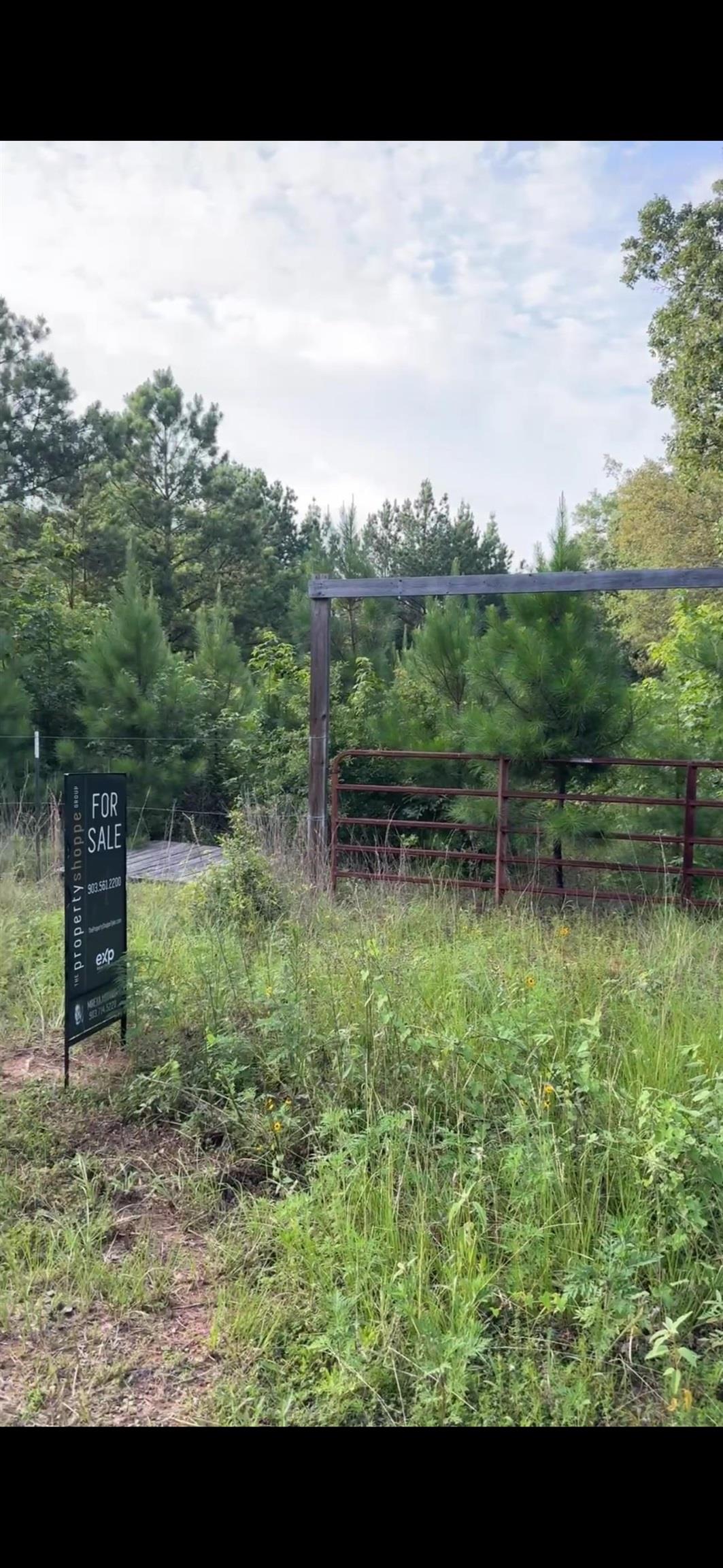2501 Katherine Street Marshall, TX 75670 - Photo 5 of 5