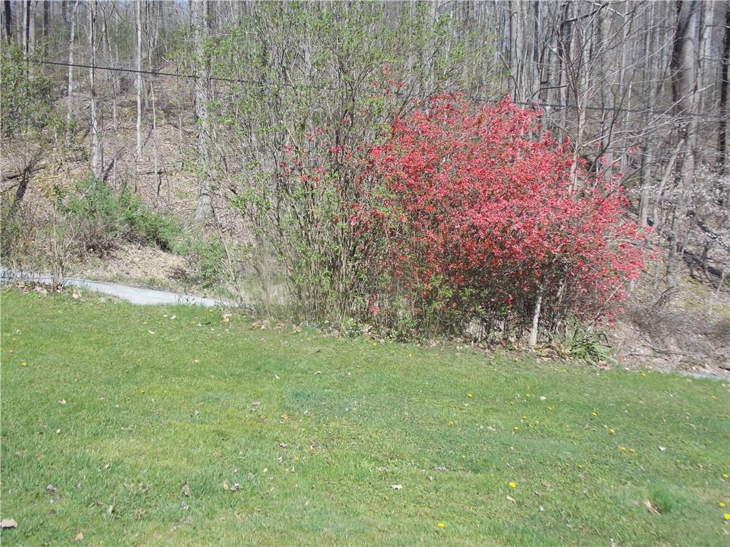 160 Laughner Road Ligonier, PA 15658 - Photo 20 of 21 Gallery Image 20
