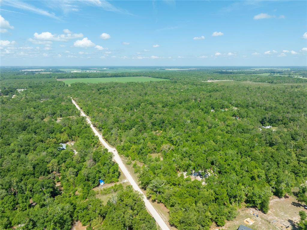 0 Pine Way O'Brien, FL 32071 - Photo 3 of 10