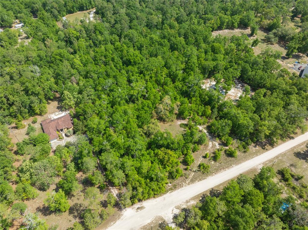 0 Pine Way O'Brien, FL 32071 - Photo 5 of 10