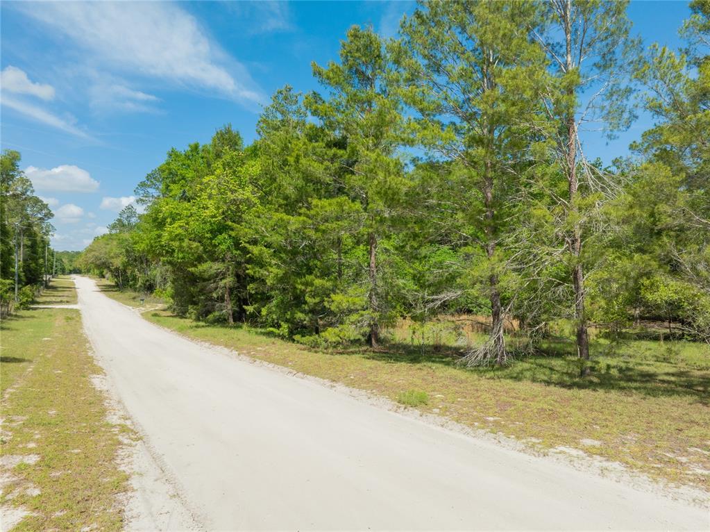 0 Pine Way O'Brien, FL 32071 - Photo 7 of 10