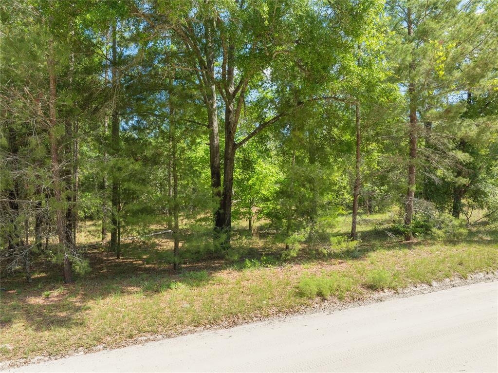 0 Pine Way O'Brien, FL 32071 - Photo 9 of 10