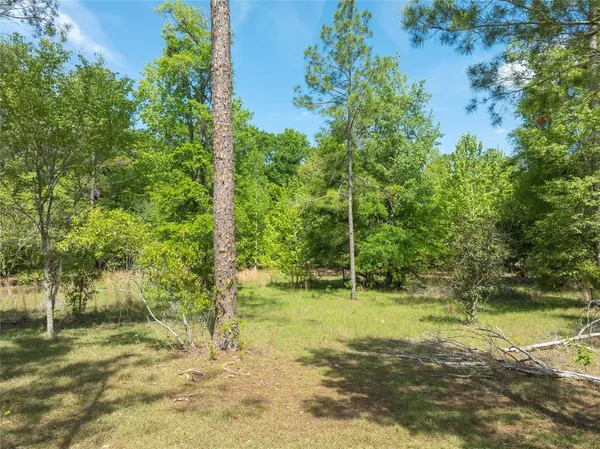 $60,000 | 0 Pine Way, O'Brien, FL 32071