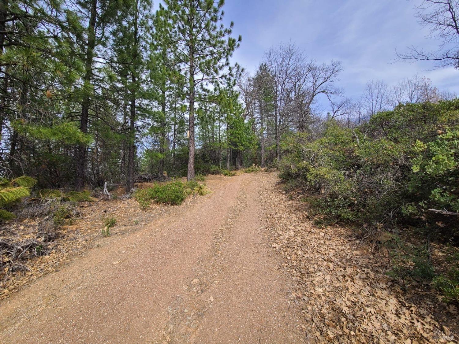 47700 Bentley Ridge Road Covelo, CA 95428 - Photo 24 of 74