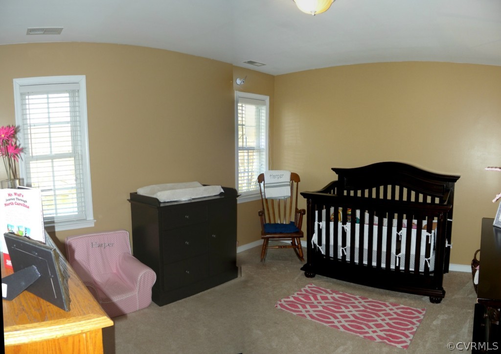 420 Michaux View Court Midlothian, VA 23113 - Photo 11 of 21