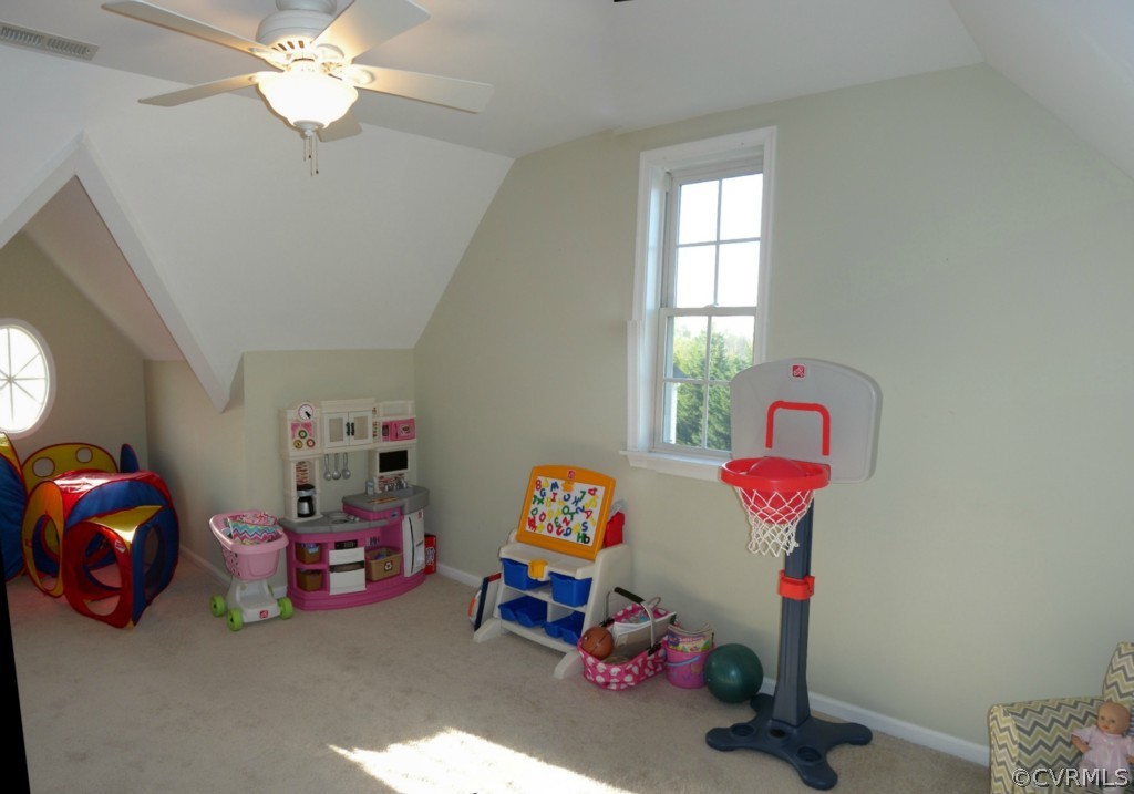 420 Michaux View Court Midlothian, VA 23113 - Photo 15 of 21