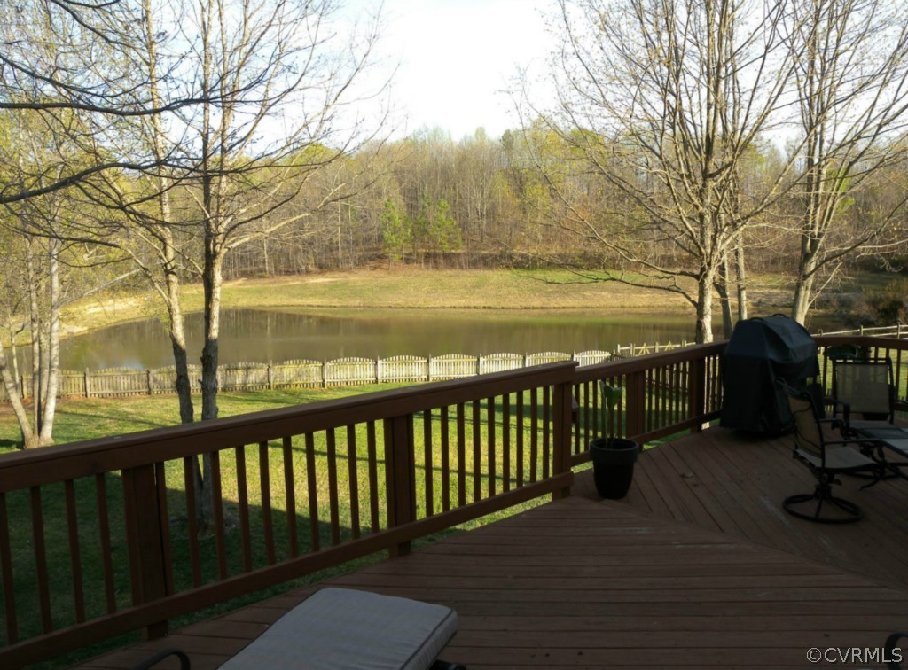 420 Michaux View Court Midlothian, VA 23113 - Photo 2 of 21