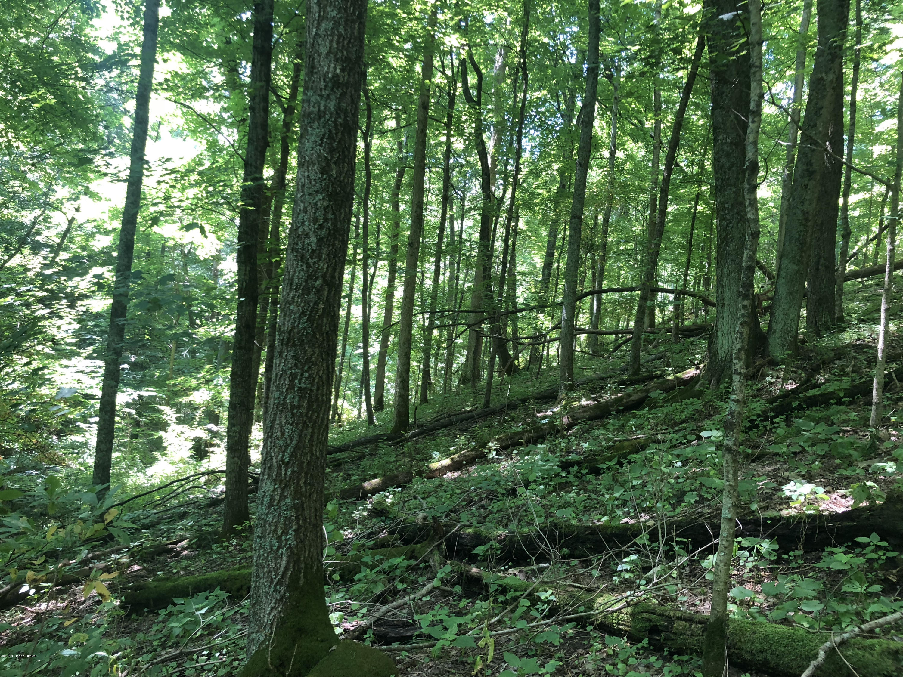 948 Sheehan Road Turners Station, KY 40075 - Photo 11 of 13 20180630_154824077_iOS