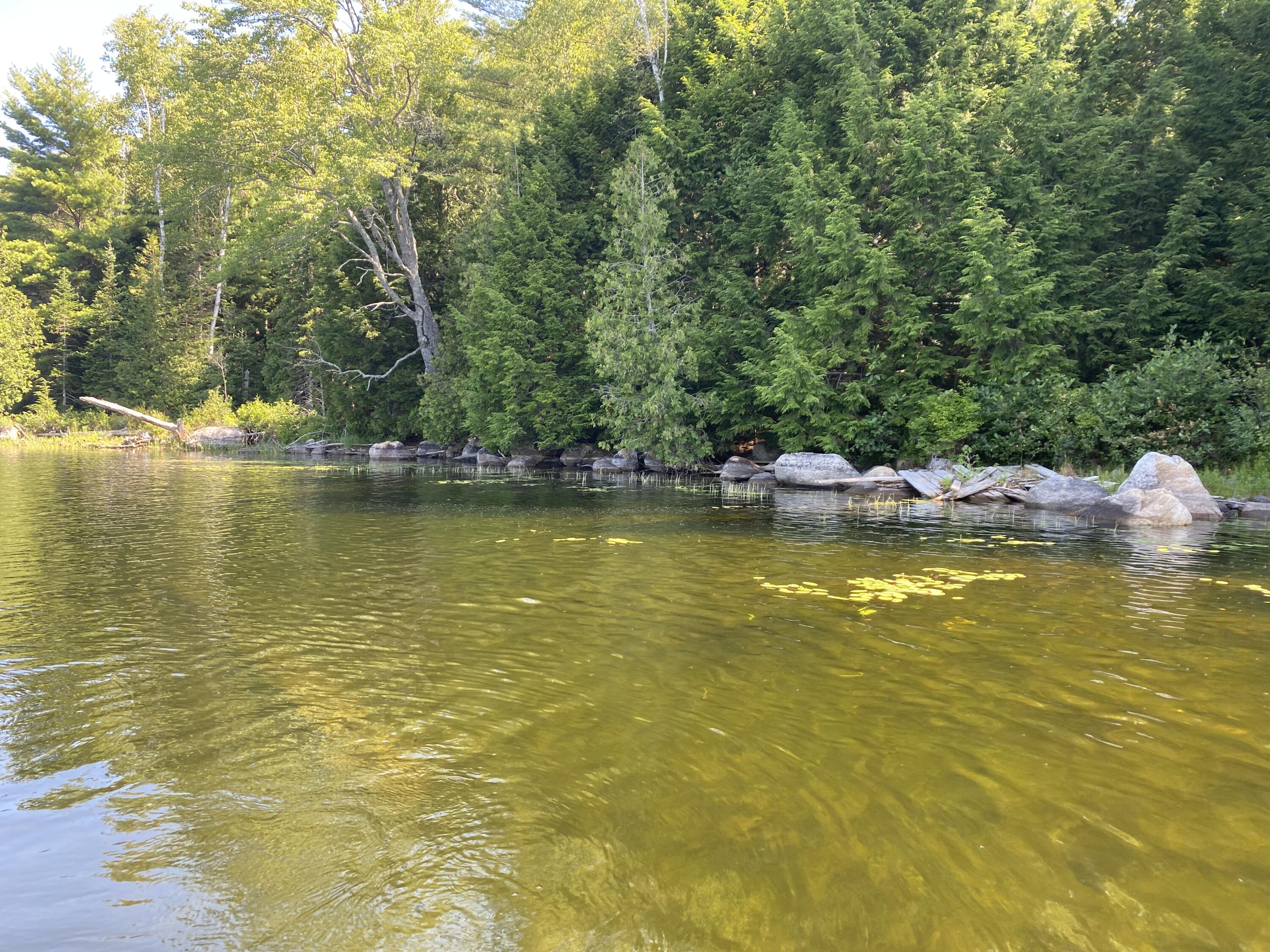Tbd Depot Road Lakeville, ME 04487 - Photo 38 of 56