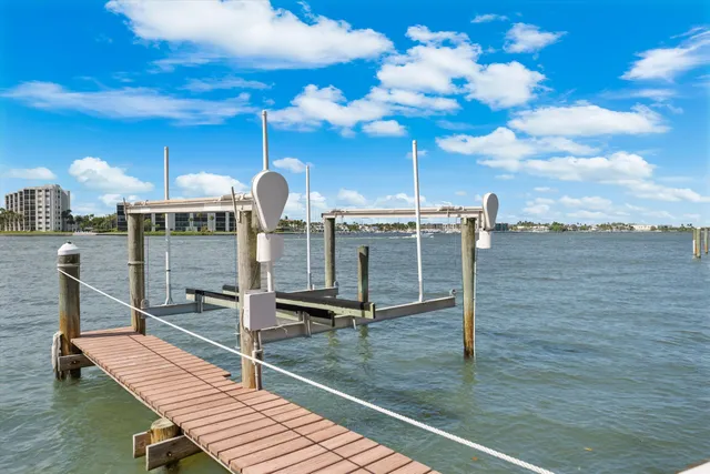 a view of a backyard with plants and lake view