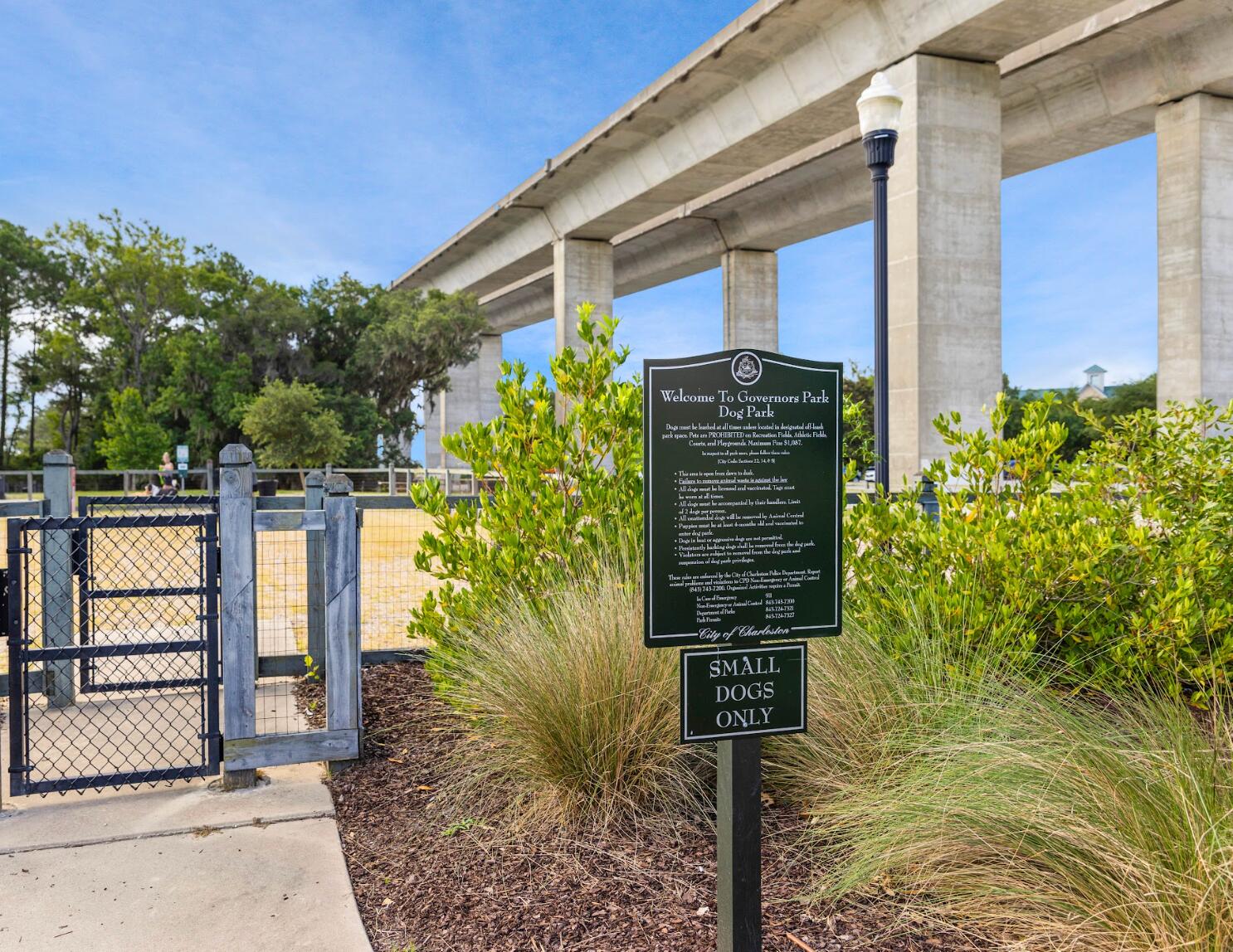 117 Etta Way Daniel Island, SC 29492 - Photo 20 of 38 photo_029