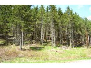 8 Lincoln Gap Road Warren, VT 05674 - Photo 1 of 1