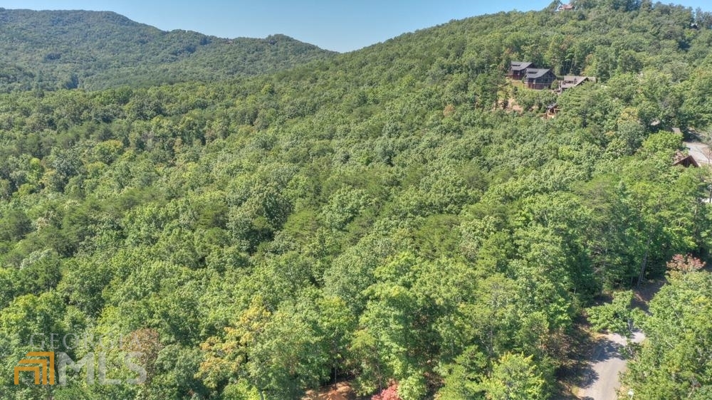 7 Deer Crest Road Blue Ridge, GA 30513 - Photo 1 of 1 a view of a large building with a lush green forest