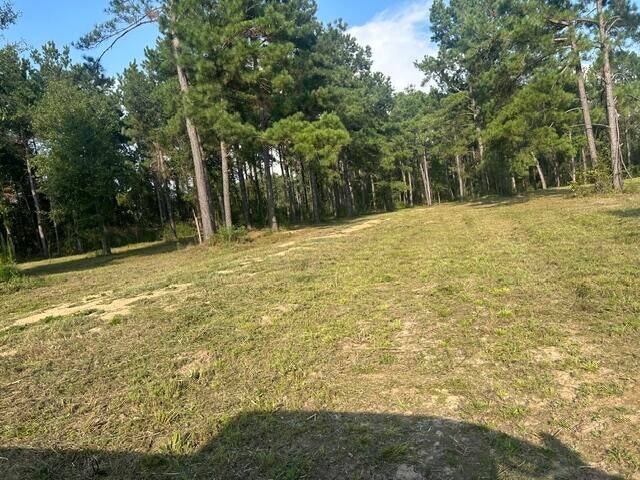0 New Hope Road Sandy Hook, MS 39478 - Photo 3 of 7 Gallery Image 3