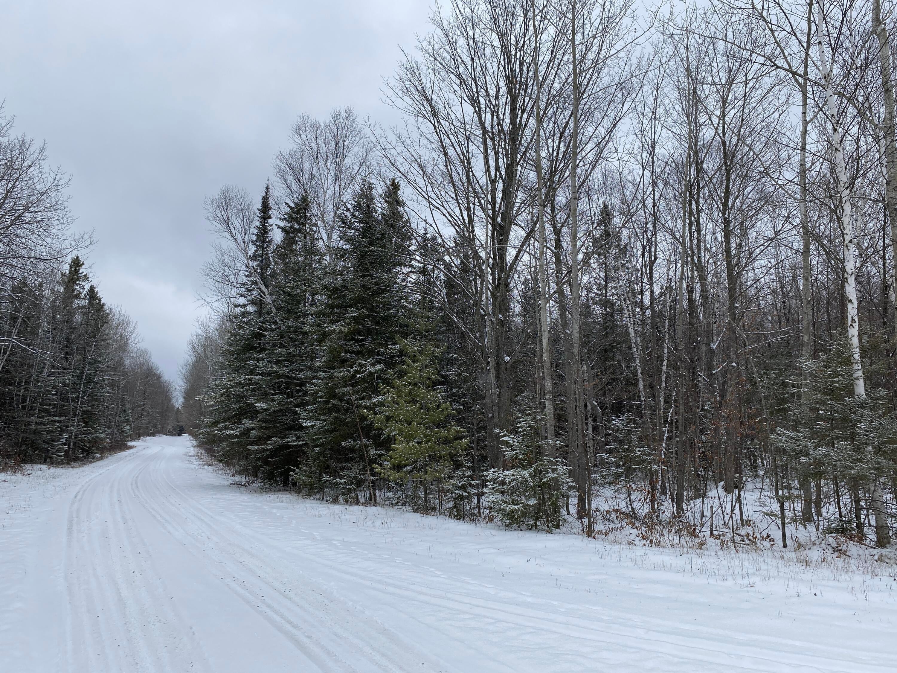 Peters Road Posen, MI 49776 - Photo 9 of 13 Gallery Image 9