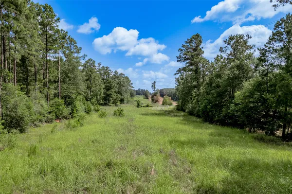 a view of a field of grass and trees