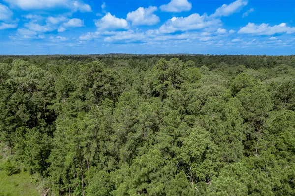 a view of a city with lush green forest