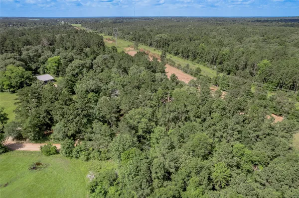 an aerial view of a forest with a yard
