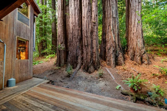 $1,299,000 | 2081 Joy Road, Occidental, CA 95465