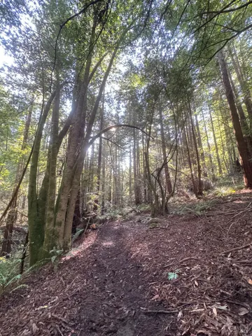 $1,299,000 | 2081 Joy Road, Occidental, CA 95465