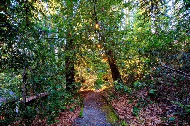 $1,299,000 | 2081 Joy Road, Occidental, CA 95465