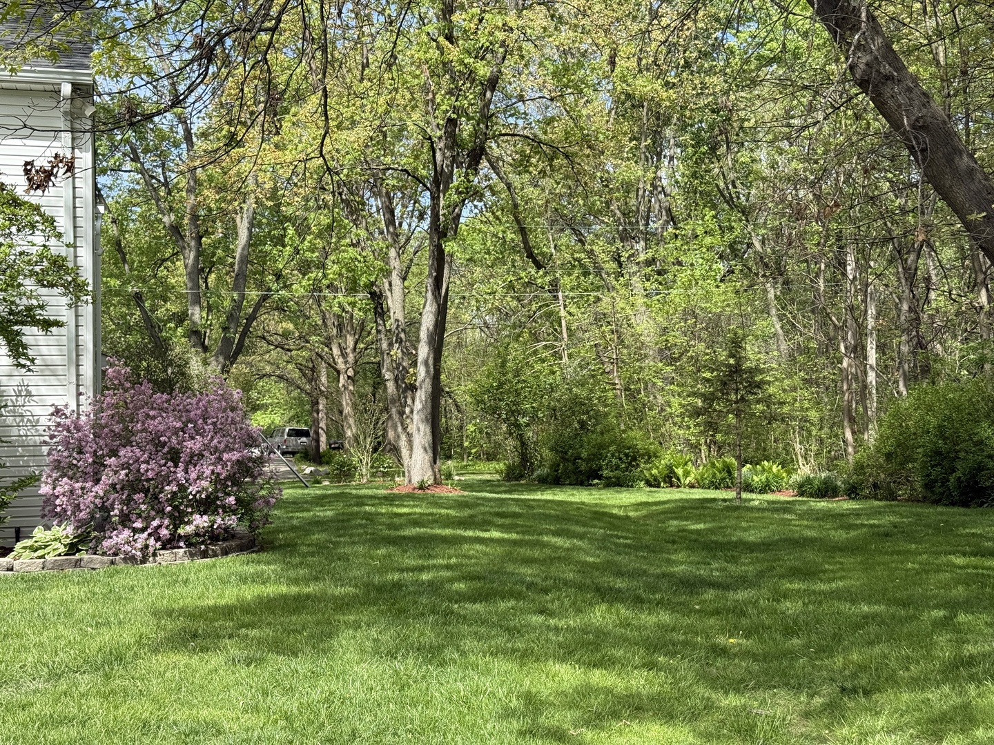 1201 East Street Crete, IL 60417 - Photo 12 of 45 a backyard of a house with lots of green space