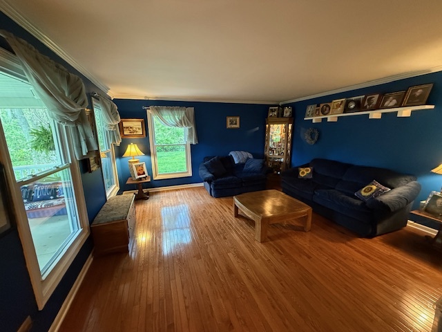 1201 East Street Crete, IL 60417 - Photo 19 of 45 a living room with furniture and a large window
