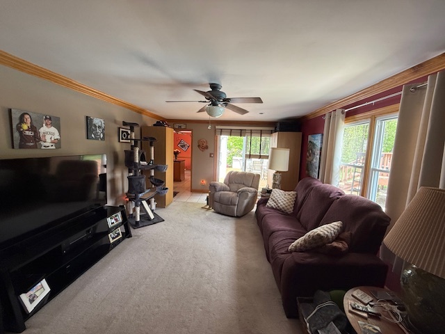 1201 East Street Crete, IL 60417 - Photo 23 of 45 a living room with furniture a ceiling fan and a window