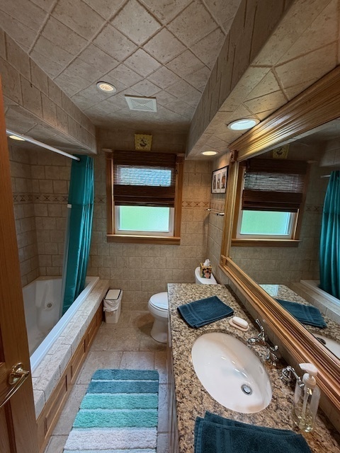 1201 East Street Crete, IL 60417 - Photo 33 of 45 a bathroom with a sink and a mirror