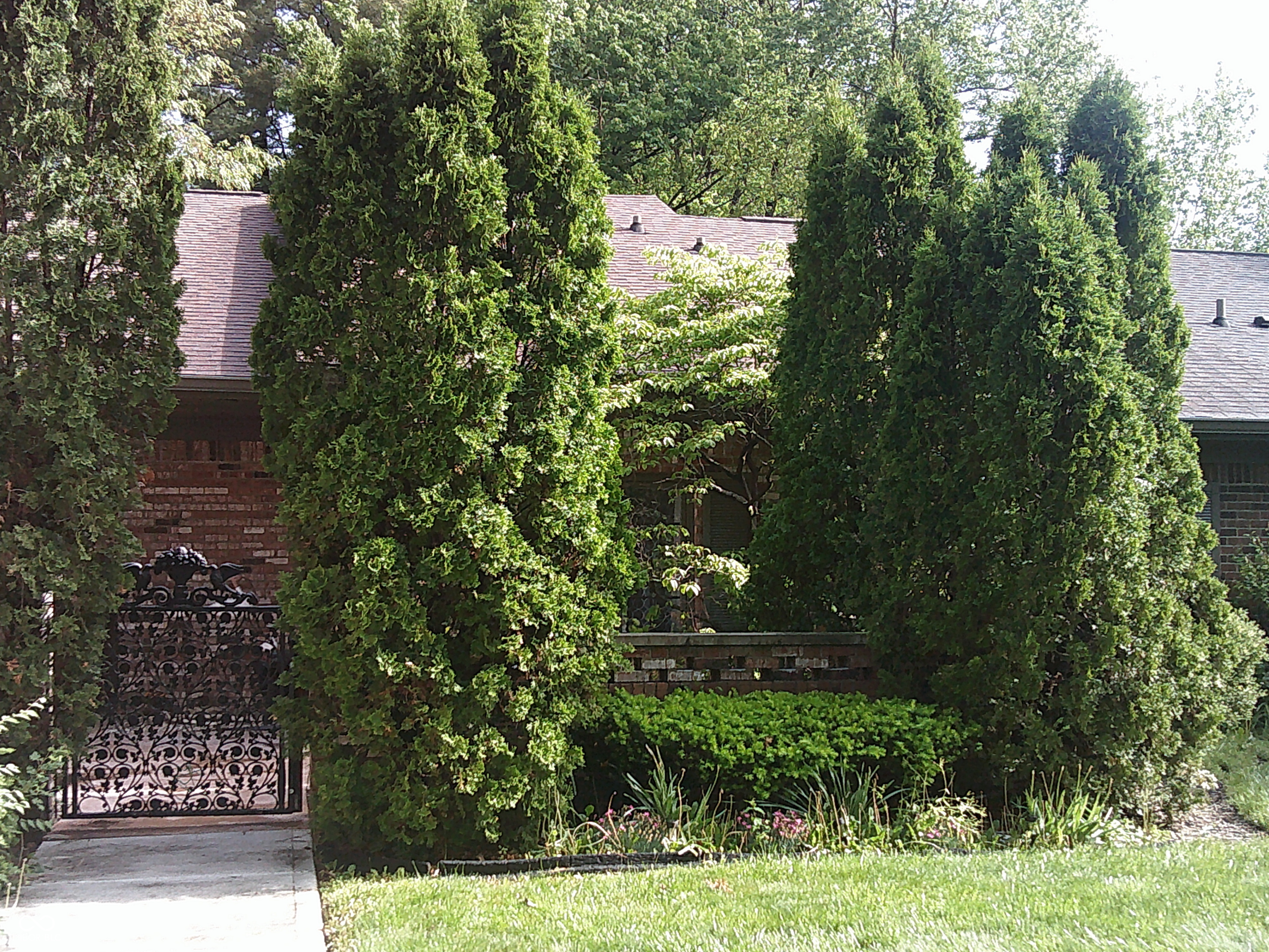 5409 Greenwillow Road Indianapolis, IN 46226 - Photo 6 of 29