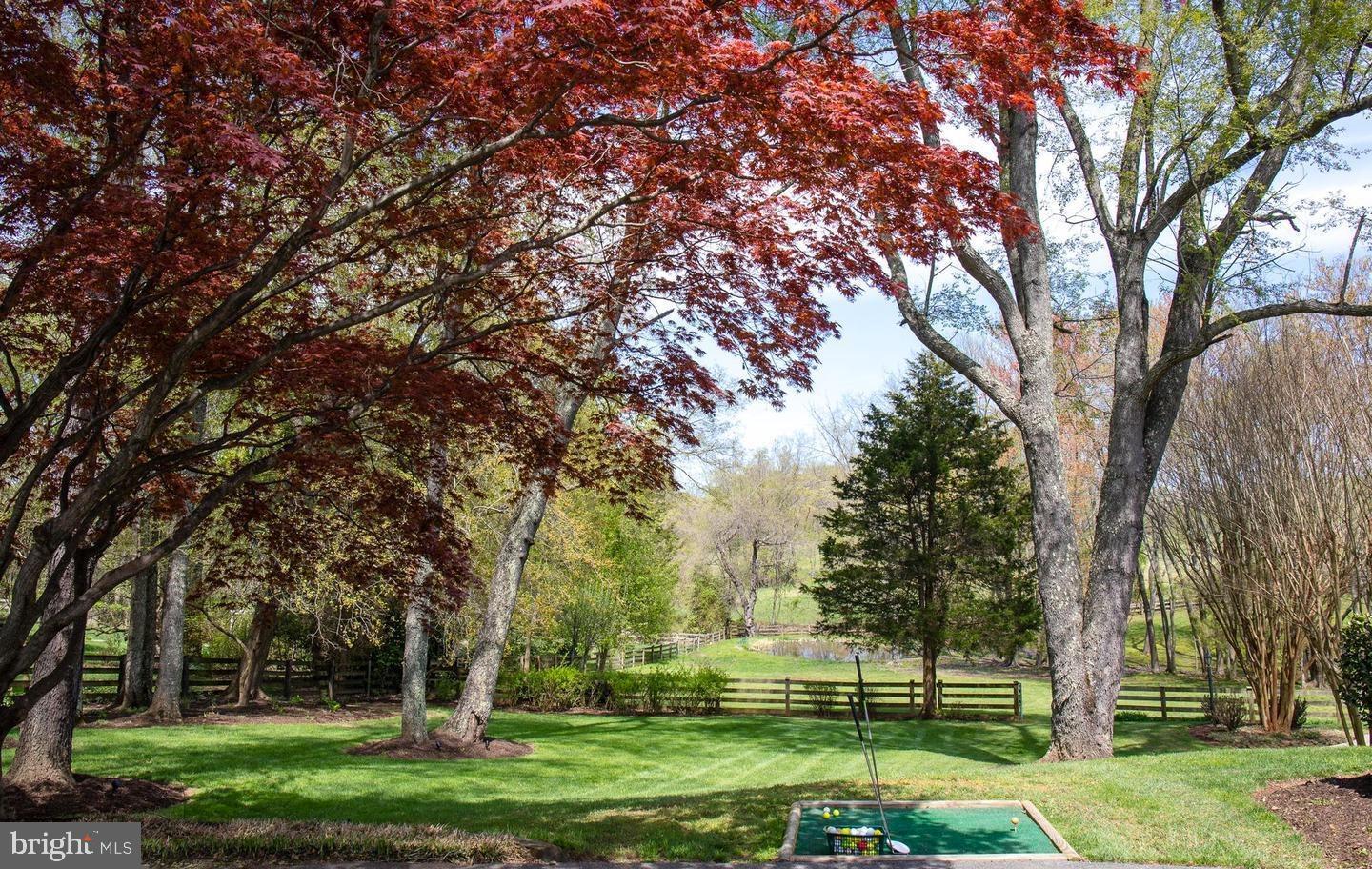 14621 Springfield Road Darnestown, MD 20874 - Photo 41 of 67 Picture perfect yard w/ private lake