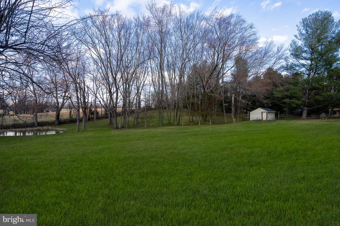 14621 Springfield Road Darnestown, MD 20874 - Photo 53 of 67 Yard and Private Pond