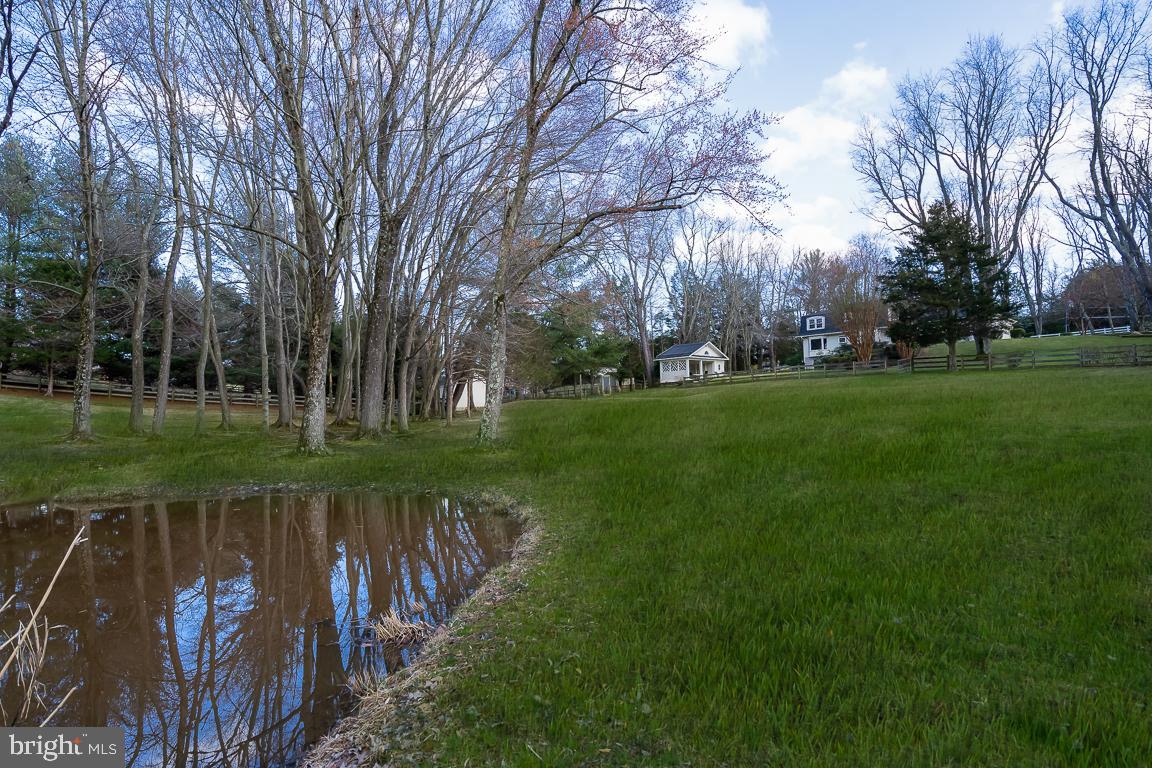 14621 Springfield Road Darnestown, MD 20874 - Photo 54 of 67 Yard and Private Pond