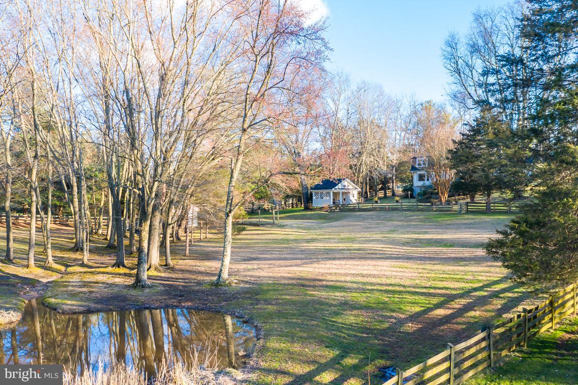 14621 Springfield Road Darnestown, MD 20874 - Photo 57 of 67 Breathtaking Yard with Private Pond