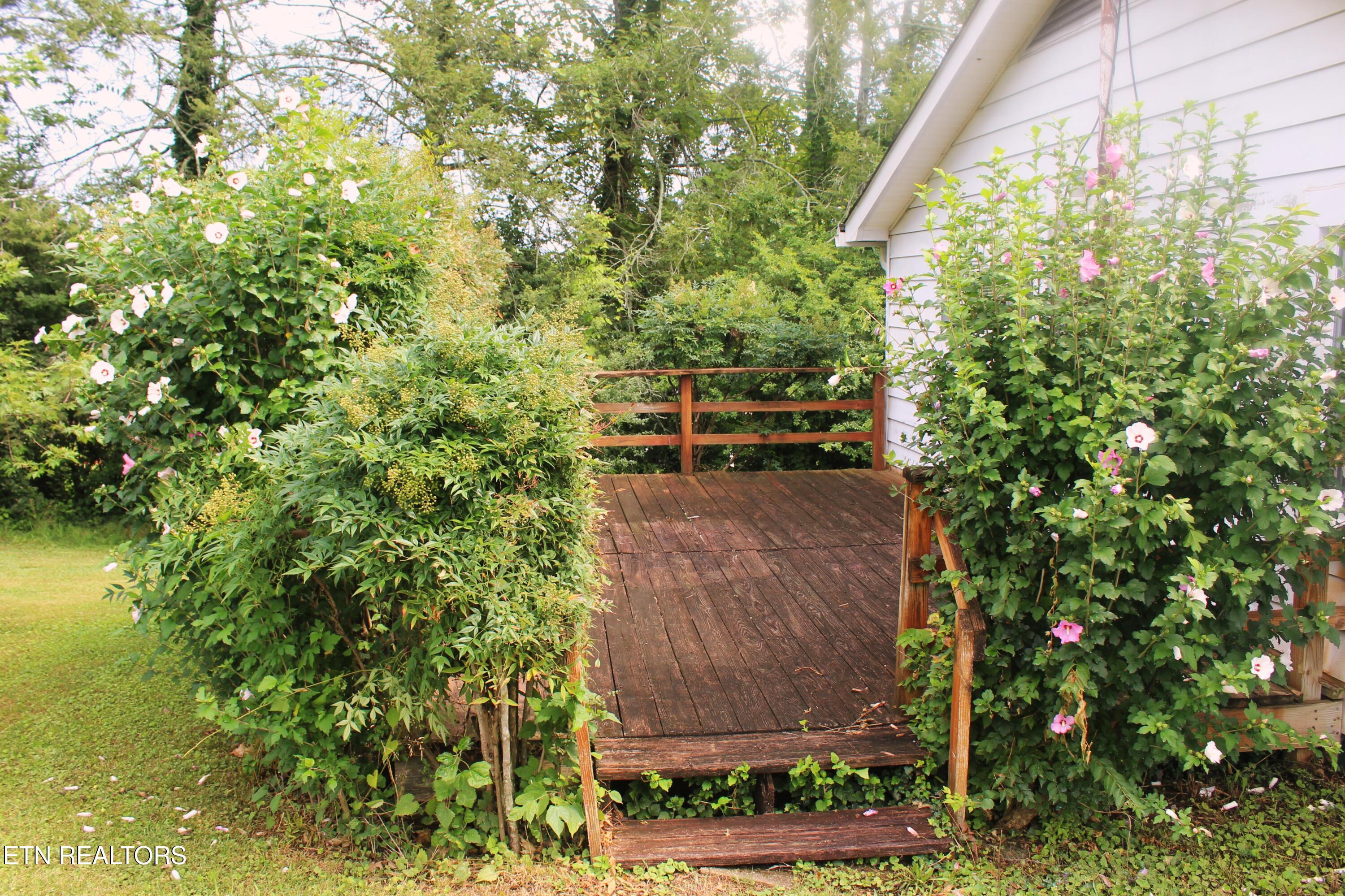 1507 Paris Road Knoxville, TN 37912 - Photo 28 of 29 IMG_5344