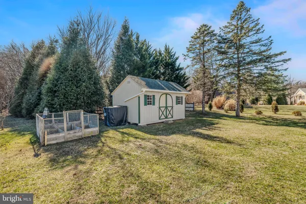 a view of a backyard with trees