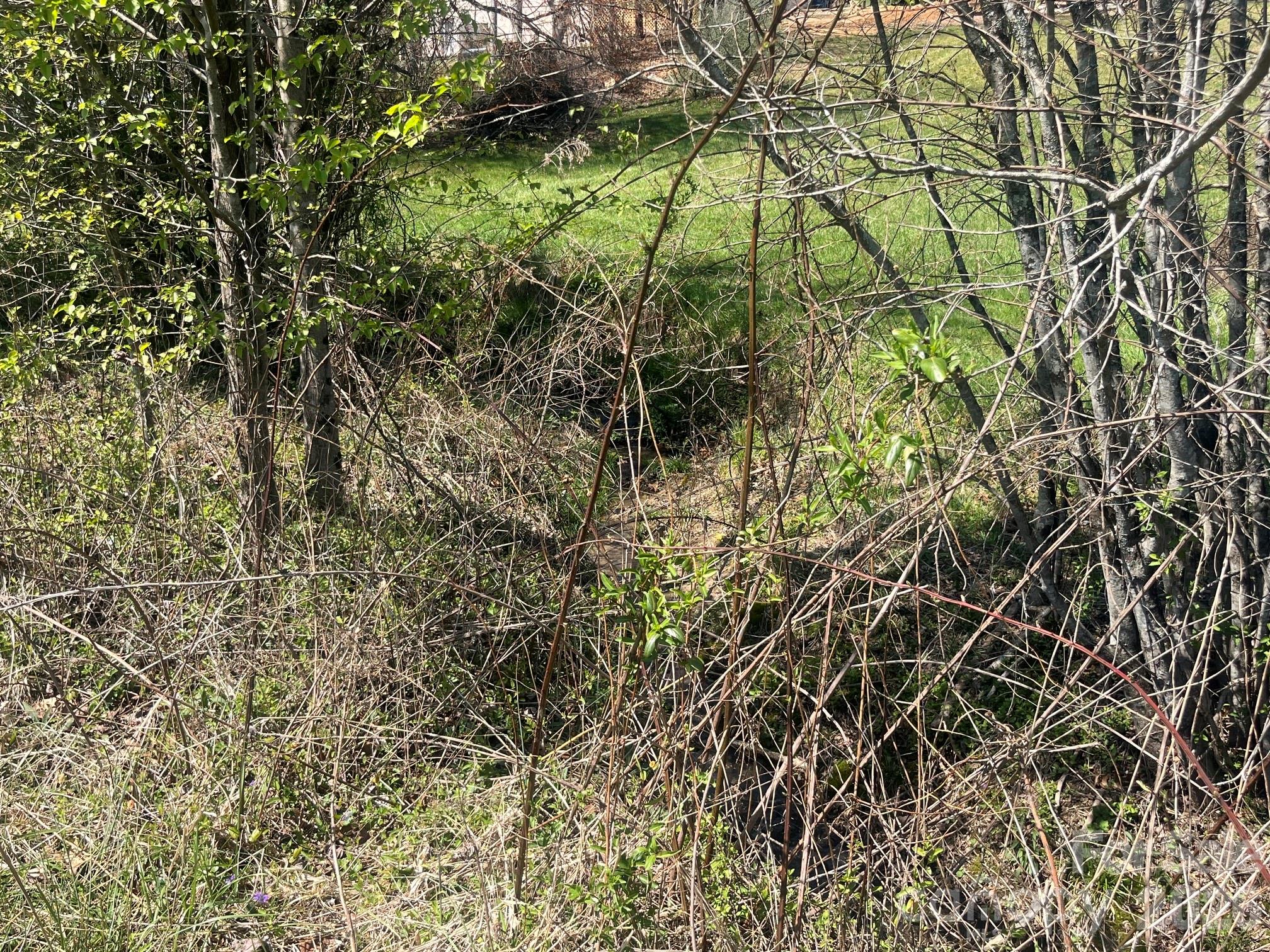 0 Chestnut Gap Road Hendersonville, NC 28792 - Photo 5 of 9 Gallery Image 5