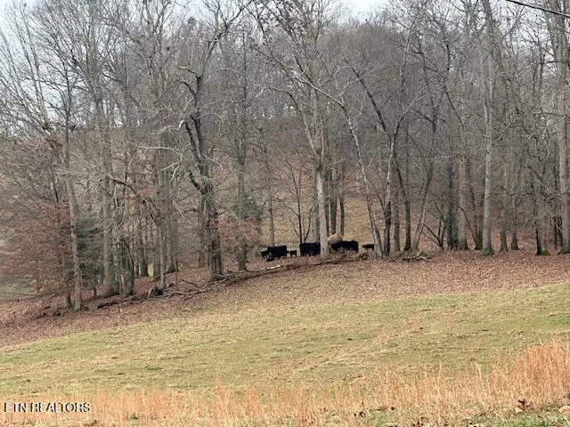 $799,900 | 811 Pioneer Road, Rose Hill, VA 24281