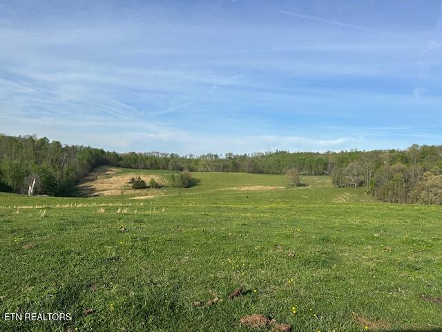 811 Pioneer Road Rose Hill, VA 24281 - Photo 19 of 58 IMG_1823