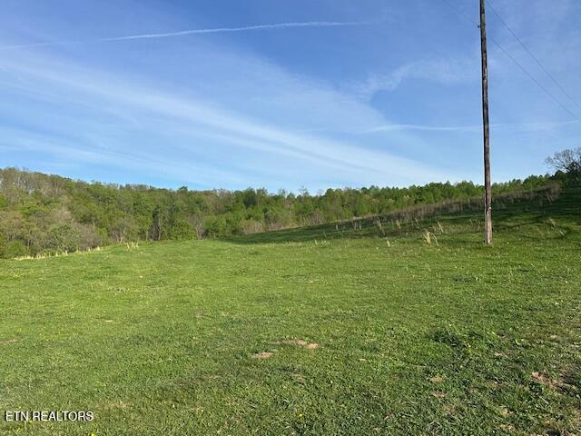 811 Pioneer Road Rose Hill, VA 24281 - Photo 20 of 58 IMG_1824