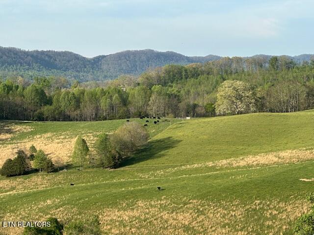 811 Pioneer Road Rose Hill, VA 24281 - Photo 21 of 58 IMG_1836